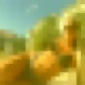 Jolie Flavia, 40 ans à La Ferté-sous-Jouarre - découvrir son profil