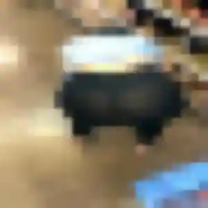 Gwenaelle (19 ans) à La Garde attend un plan cul ce soir