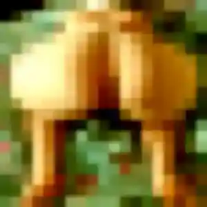 plan cul à La Garnache : photo de Christine, 23 ans - accès libre