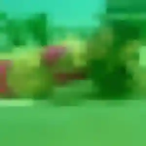 Profil de Leontine à La Madeleine (36 ans) - plan cul gratuit