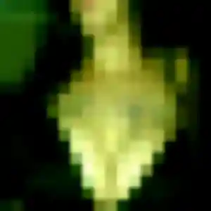 Laurence, 23 ans, disponible à La Motte-Servolex pour une rencontre coquine