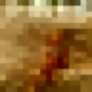 Ivana, 26 ans, dispo pour plan cul à La Mulatière