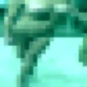 Découvre Amira, 42 ans à La Queue-en-Brie en privé