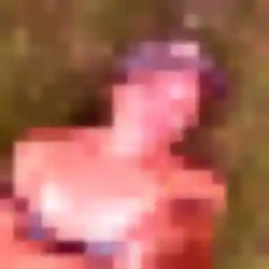 Photo de Malika à La Roque-d'Anthéron (19 ans) - plan cul sans inscription