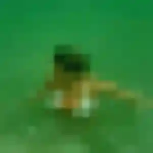 Helena, 39 ans, veut un plan cul à La Roquette-sur-Siagne