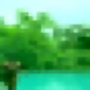 Découvre Hilary, 33 ans à La Salvetat-Saint-Gilles en privé