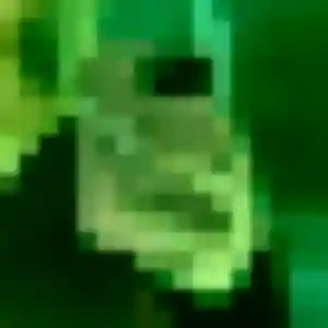 Belle Penelope, 19 ans à La Salvetat-Saint-Gilles - découvrir son profil