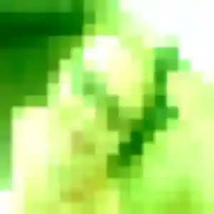 Découvre Alexandra, 39 ans à La Tour-du-Pin en privé