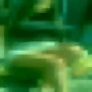 Jennifer, femme de 42 ans veut plan cul à La Valette-du-Var