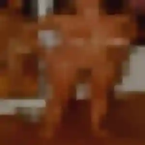 Sexy Lou-Anne, 41 ans à Labarthe-sur-Lèze - découvrir son profil