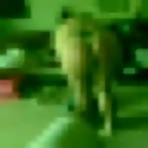 Albertine, fille de 26 ans propose plan cul à Lagord