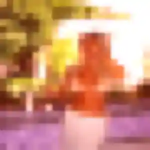 Faustine, fille de 23 ans veut plan cul à Laillé