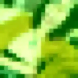 plan cul à Lambersart : photo de Julie, 39 ans - accès libre