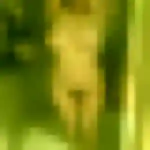 Profil de Maud à Lambersart (28 ans) - plan cul sans inscription