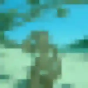 Photo privée de Celia, 39 ans à Langres - rencontre sans lendemain