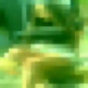 Découvre Domitille, 44 ans à Lannemezan gratuitement