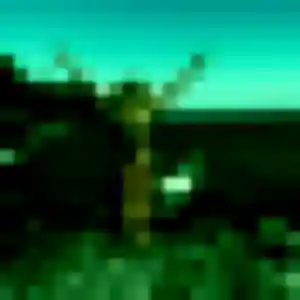 Sophie (34 ans) à Lannion cherche un plan cul ce soir