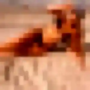 Belle Virginie, 27 ans à Lanton - découvrir son profil