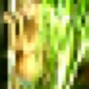 Phoebe (40 ans) à Laudun-l'Ardoise cherche un plan cul aujourd'hui