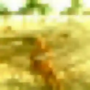 Constance de Laval, 25 ans - plan cul sans lendemain