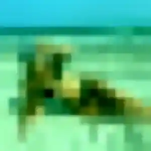 Romina, 36 ans, disponible à Le Barcarès pour une rencontre coquine