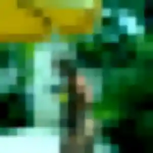 Rosemarie, 42 ans, veut un plan cul à Le Blanc-Mesnil