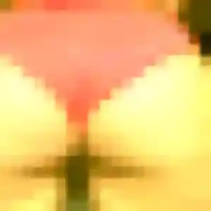 Mathilde, 45 ans, veut un plan cul à Le Bouscat