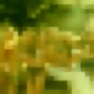 Photo de Veronique à Le Cannet (41 ans) - plan cul anonyme