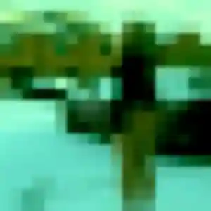 Photo de Nina à Le Castellet (41 ans) - plan cul gratuit