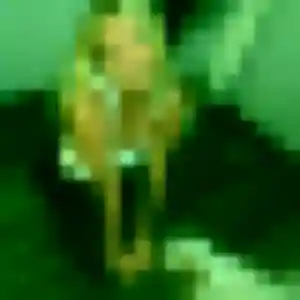 Agnes, 33 ans, cherche un plan cul à Le Cendre