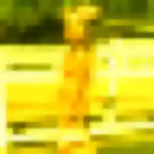 Profil de Marie-Ange à Le Controis-en-Sologne (33 ans) - plan cul discret