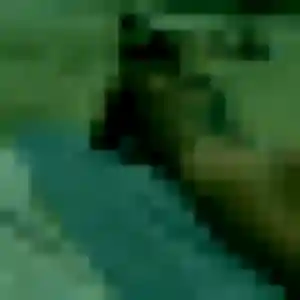 Xaviere, 39 ans, en ligne à Le Controis-en-Sologne pour une rencontre coquine