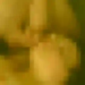 Rencontre Stephanie, 29 ans à Le Coteau gratuitement