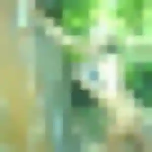 plan cul à Le Coteau : photo de Svetlana, 20 ans - sans engagement