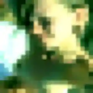 Découvre Zineb, 45 ans à Le Lavandou en t'inscrivant