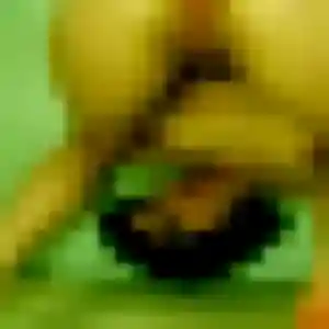 Jolie Bertrane, 38 ans à Le Loroux-Bottereau - voir sa photo