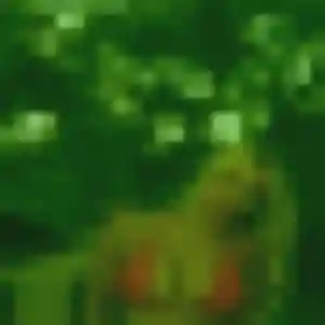 Charmante Irene, 34 ans à Le Loroux-Bottereau - voir sa photo