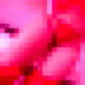 Charmante Lamia, 24 ans à Le Loroux-Bottereau - voir sa photo