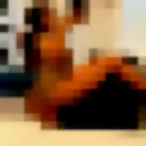 Photo de Noura à Le Loroux-Bottereau (34 ans) - plan cul discret