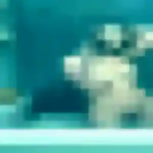 Rencontre Kawtar, 37 ans à Le Malesherbois en t'inscrivant