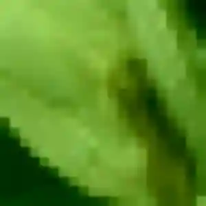 Découvre Olivia, 29 ans à Le Mans gratuitement