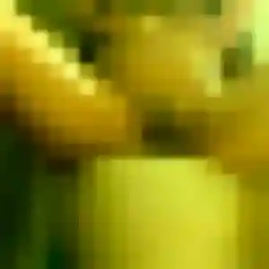 Marie-Cecile, 20 ans, cherche un plan cul à Le Muy