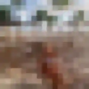 Alienor, femme de 40 ans propose plan cul à Le Passage