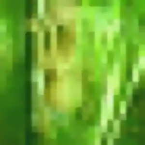 Découvre Lou-Anne, 35 ans à Le Perray-en-Yvelines gratuitement