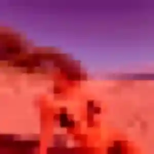 Jolie Ilona, 19 ans à Le Plessis-Bouchard - découvrir son profil