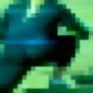 Rejoins Dounia, 34 ans à Le Plessis-Robinson en privé