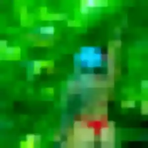 Martine, 44 ans, veut un plan cul à Le Portel