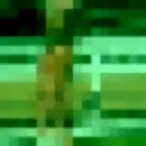 Rencontre Lola, 24 ans à Le Pradet en t'inscrivant