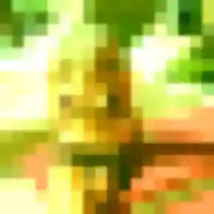 Belle Christine, 41 ans à Le Puy-Sainte-Réparade - voir sa photo