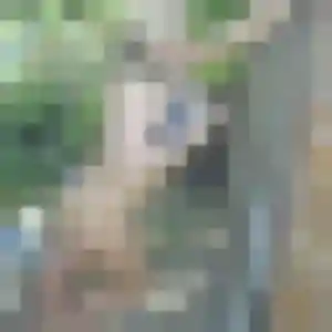 Rencontre Salima, 39 ans à Le Soler gratuitement